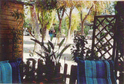 View From Garden